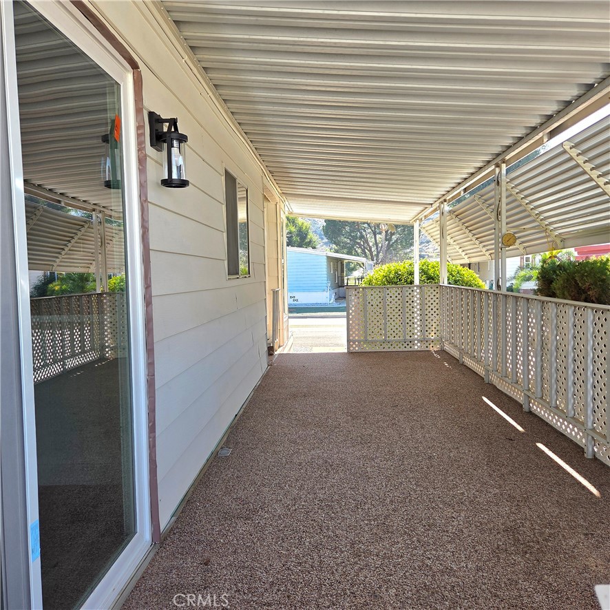 30930 Paradise Palm