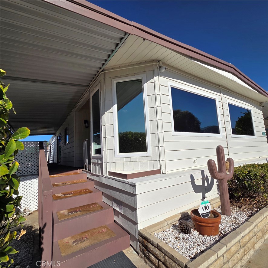 30930 Paradise Palm