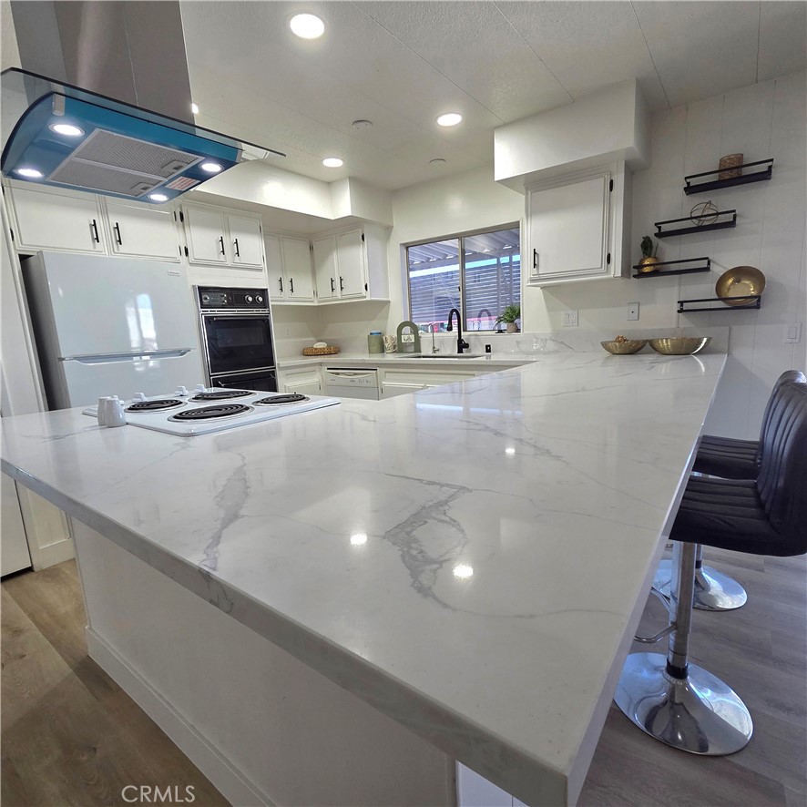 30930 Paradise Palm