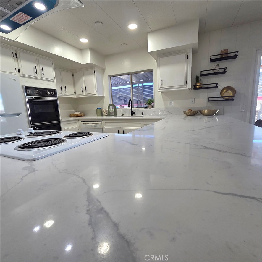 30930 Paradise Palm