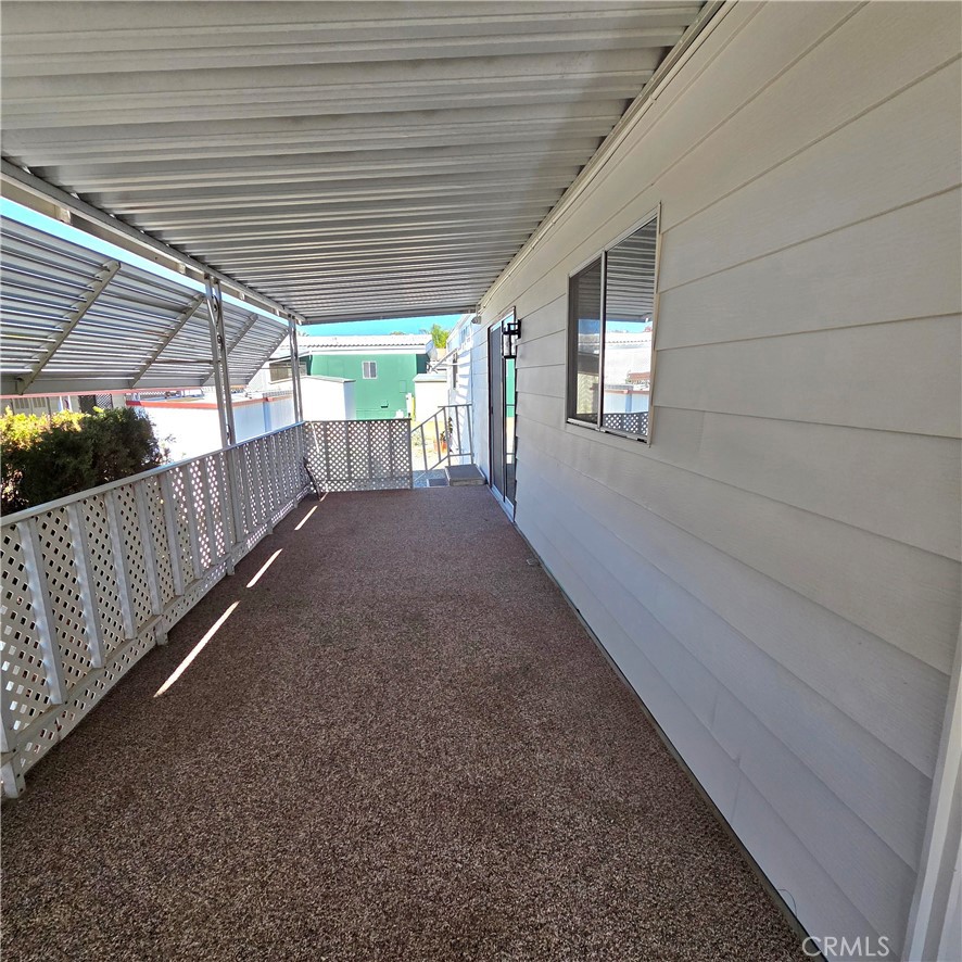 30930 Paradise Palm