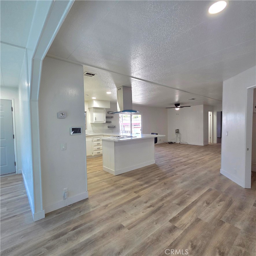 30930 Paradise Palm