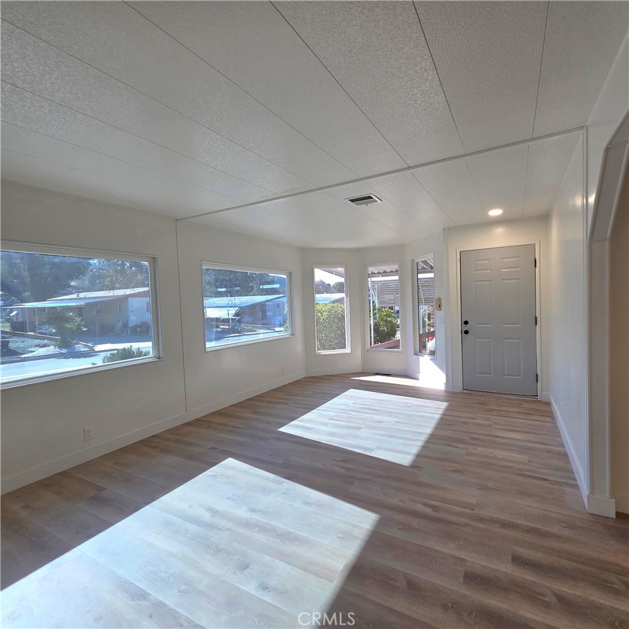 30930 Paradise Palm