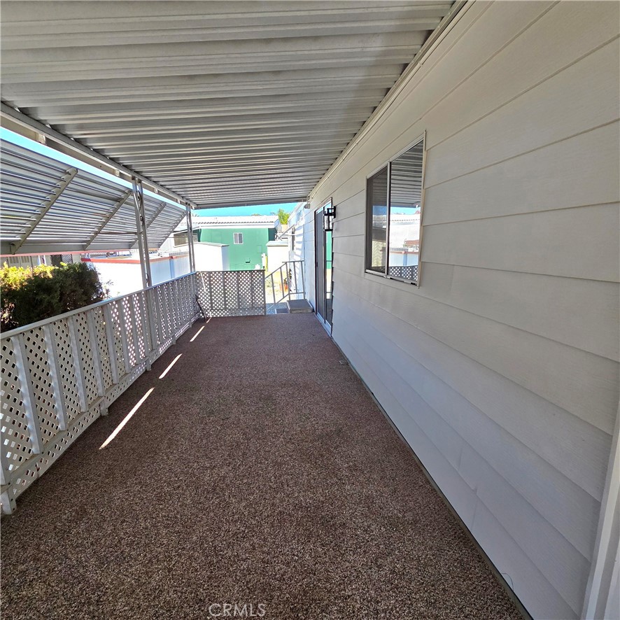 30930 Paradise Palm