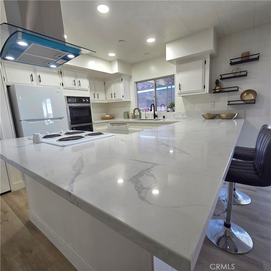 30930 Paradise Palm