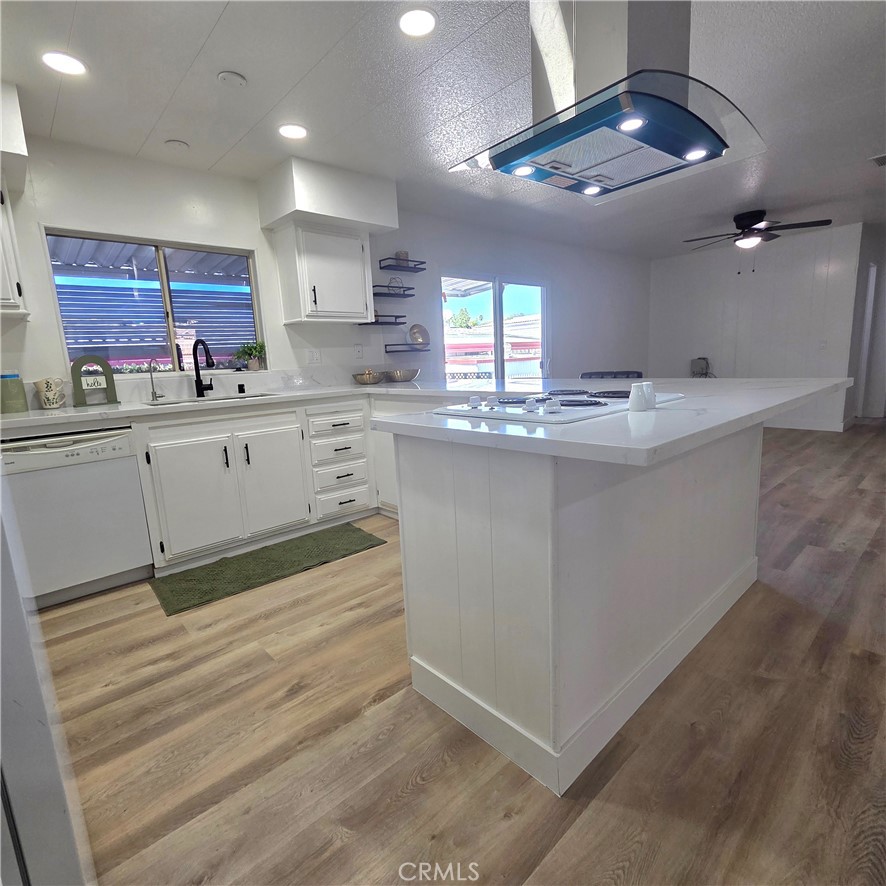 30930 Paradise Palm