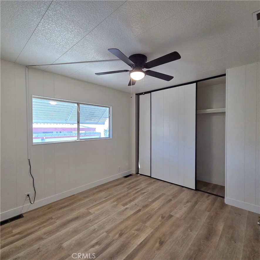 30930 Paradise Palm
