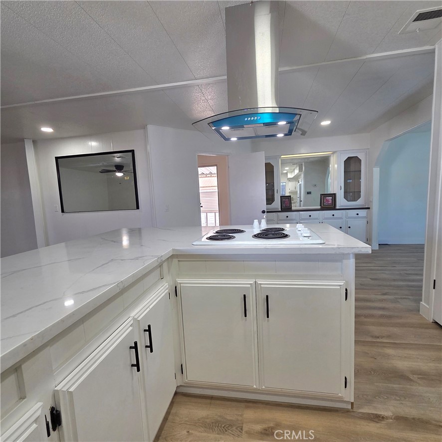 30930 Paradise Palm
