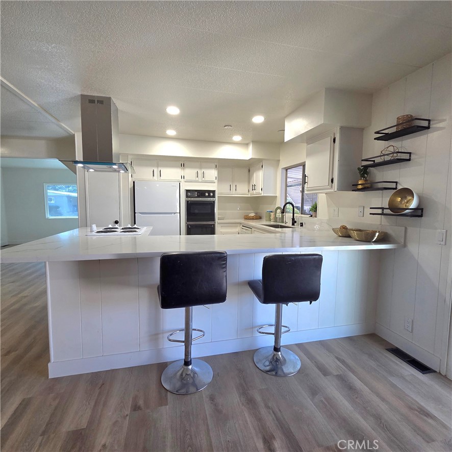 30930 Paradise Palm