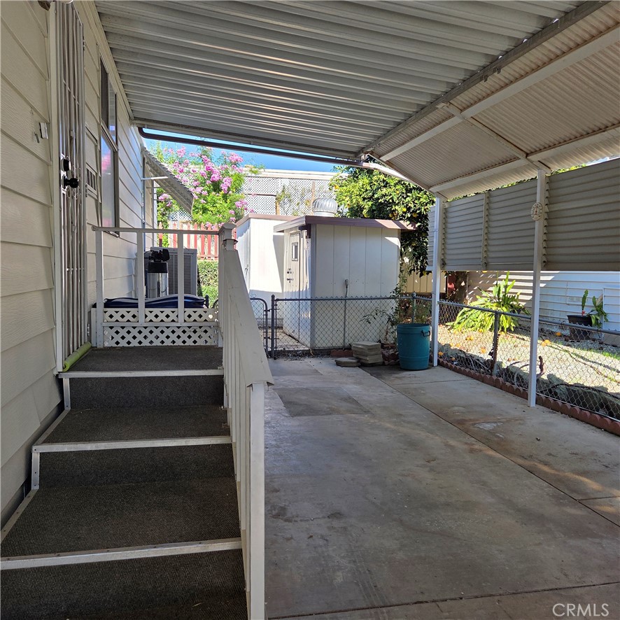 30930 Paradise Palm