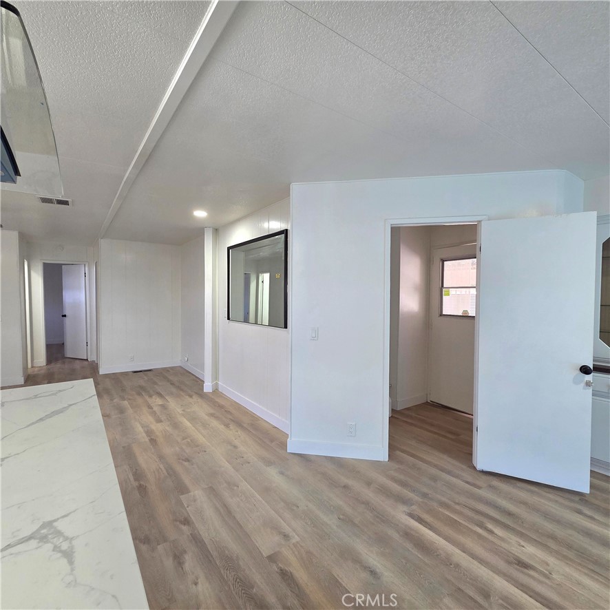 30930 Paradise Palm