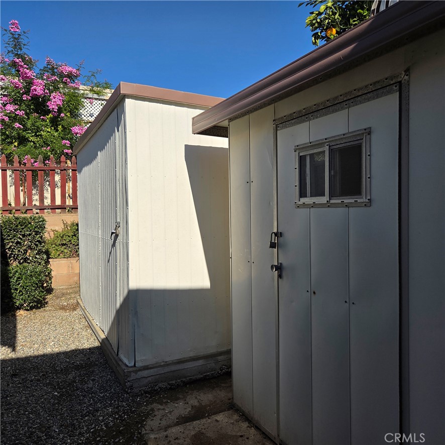 30930 Paradise Palm