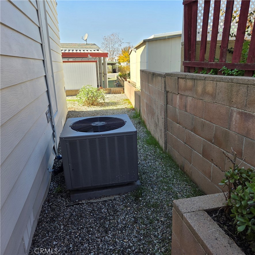 30930 Paradise Palm
