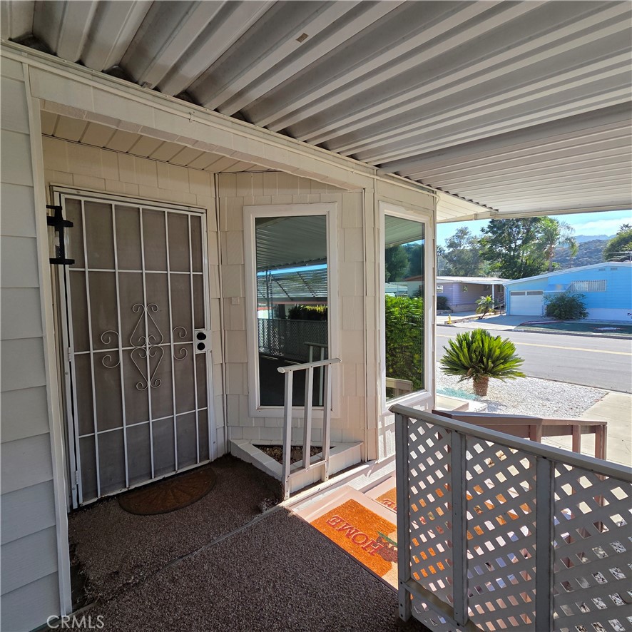 30930 Paradise Palm