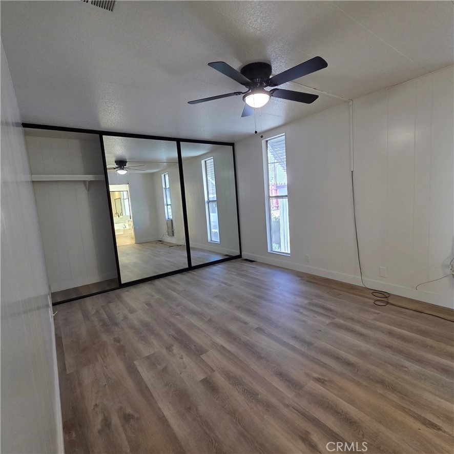 30930 Paradise Palm
