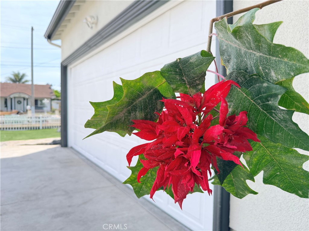 1147 N Island Avenue