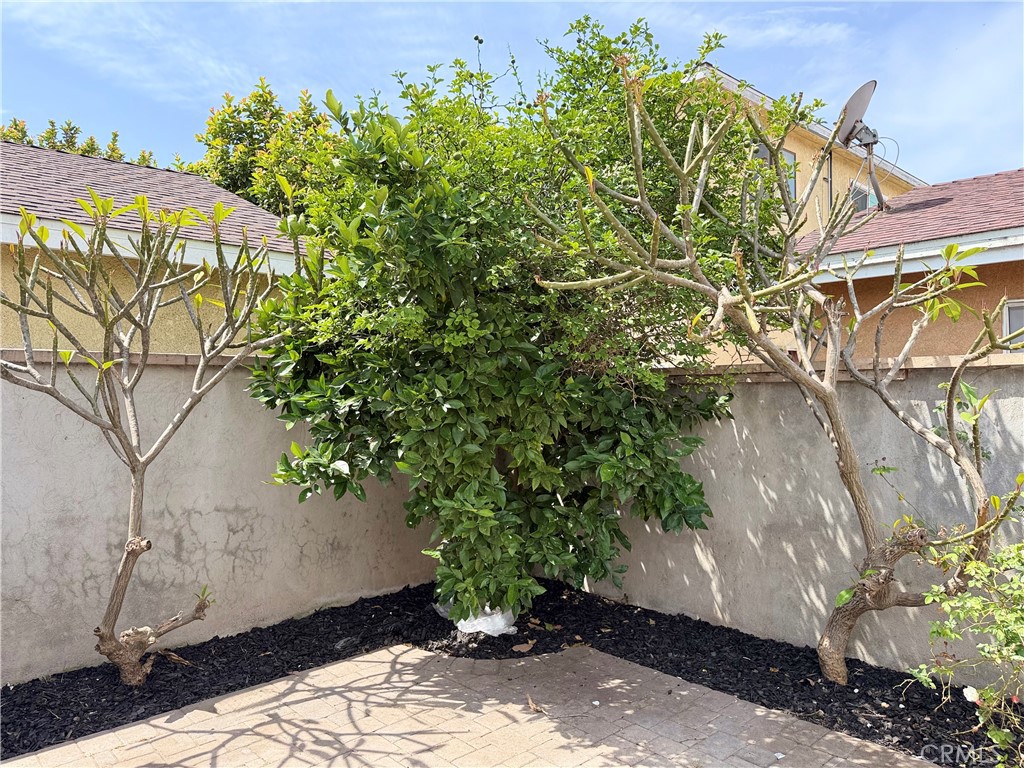 1147 N Island Avenue