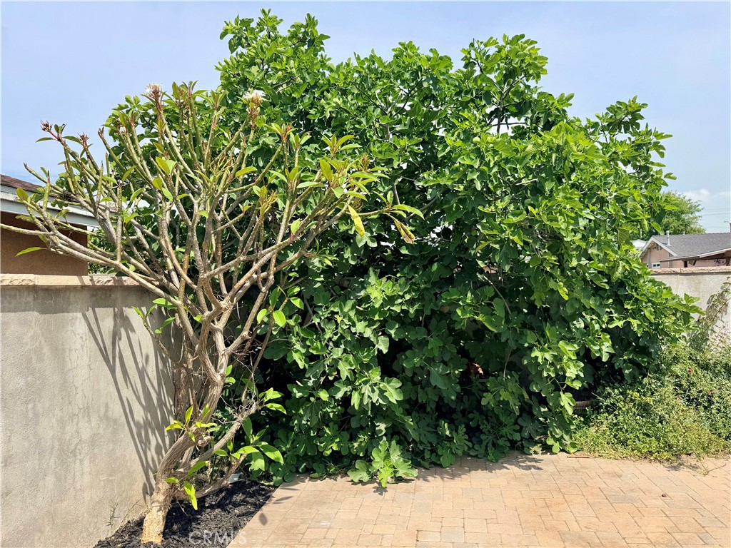 1147 N Island Avenue