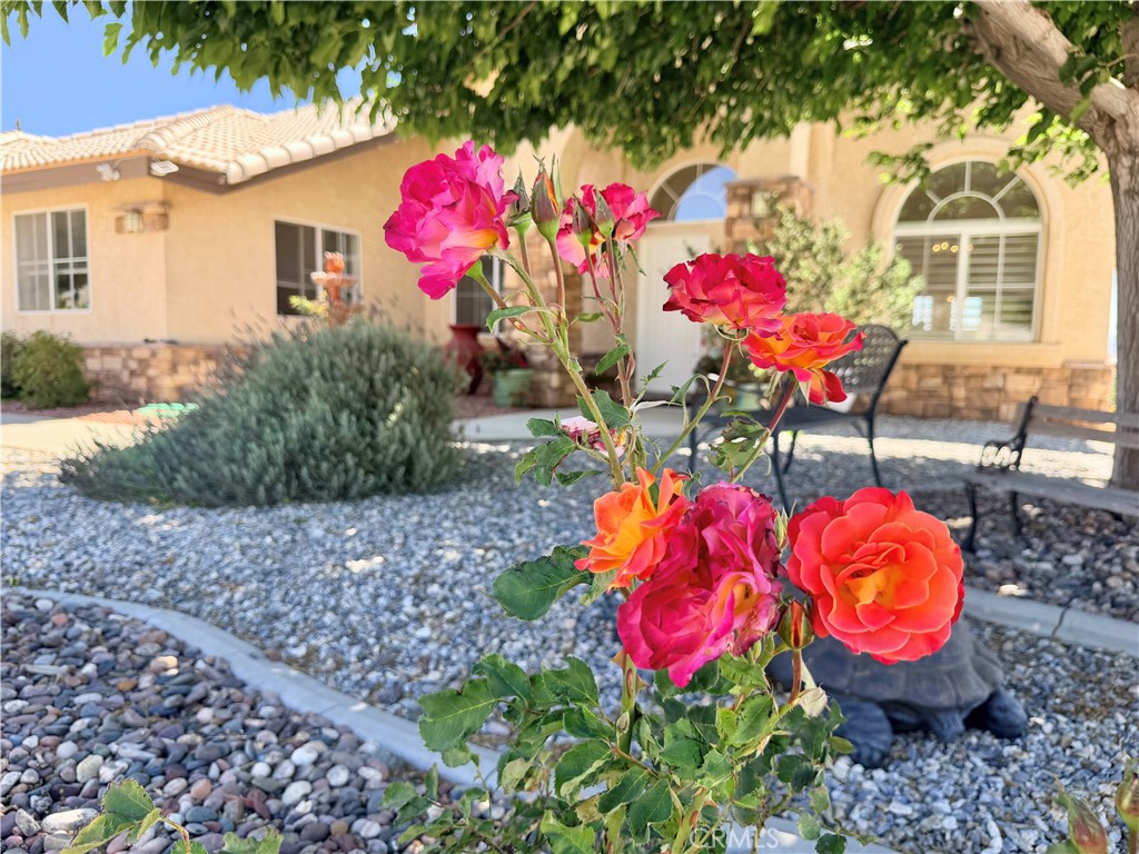 8535 Alta Mesa Road