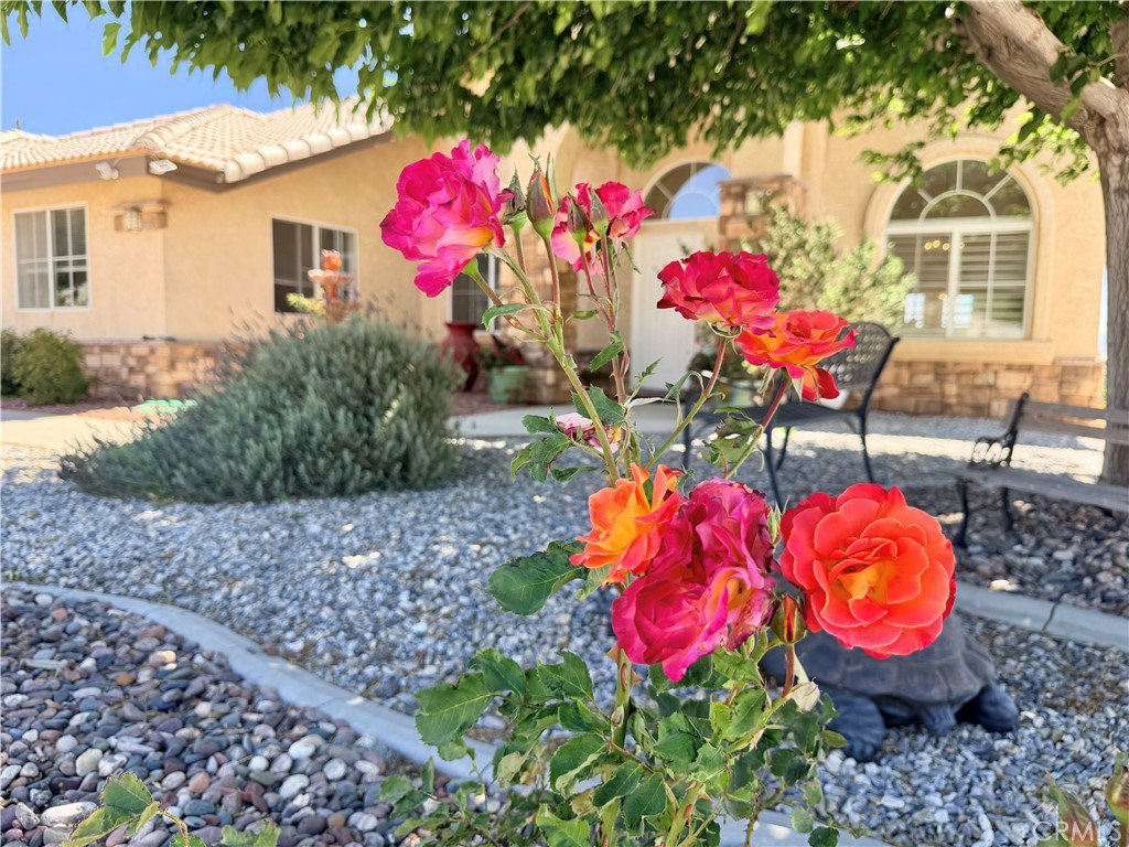 8535 Alta Mesa Road