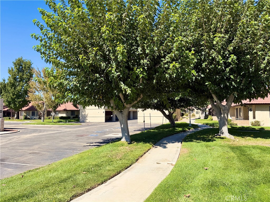 19225 Elm Drive