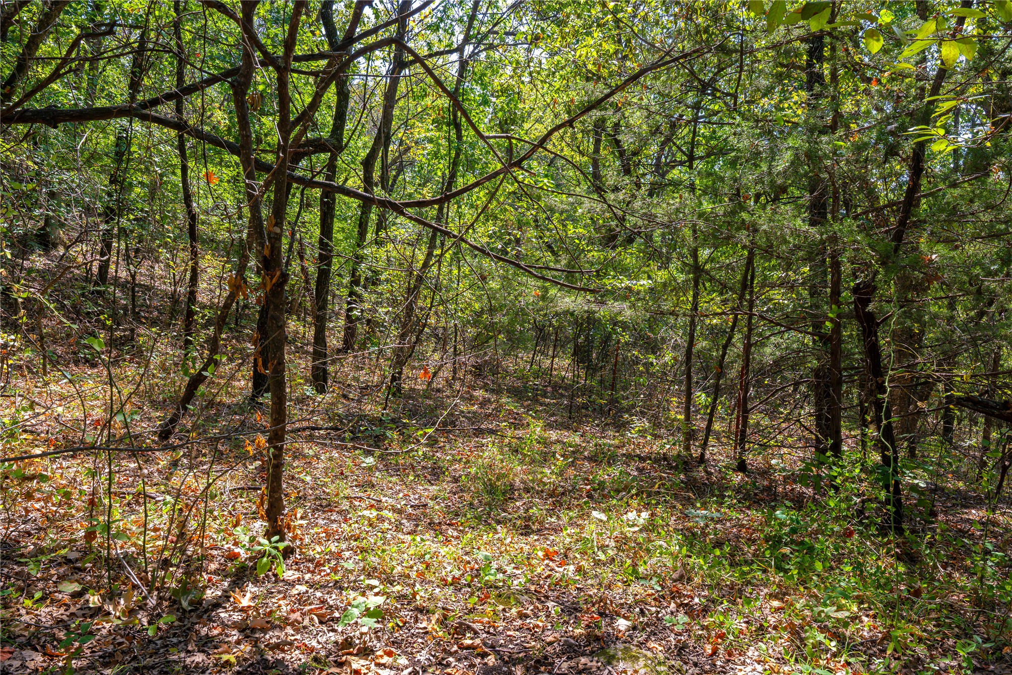 24092 S Black Valley Road