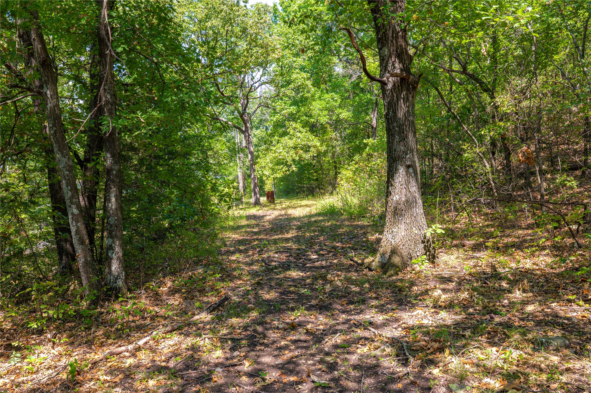 24092 S Black Valley Road