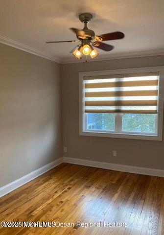 31 Cedar Avenue 42