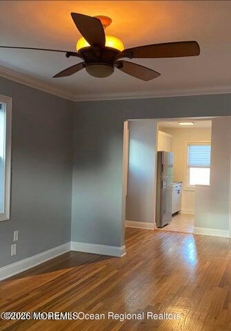 31 Cedar Avenue 42