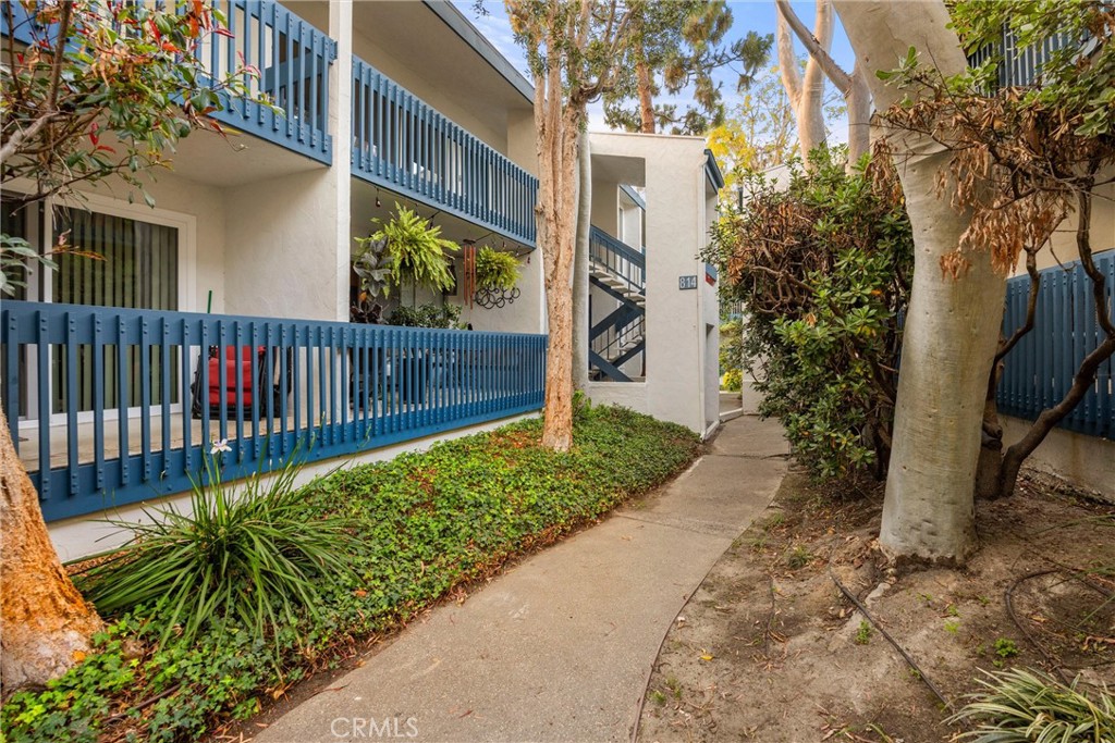 814 Camino Real 203