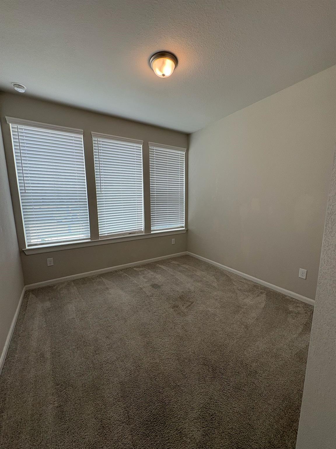 29406 Amber Meadows Court