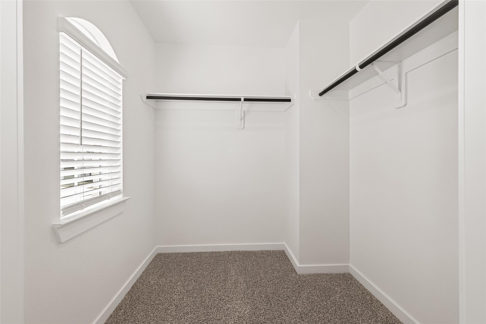 426 Yellow Dandelion Lane