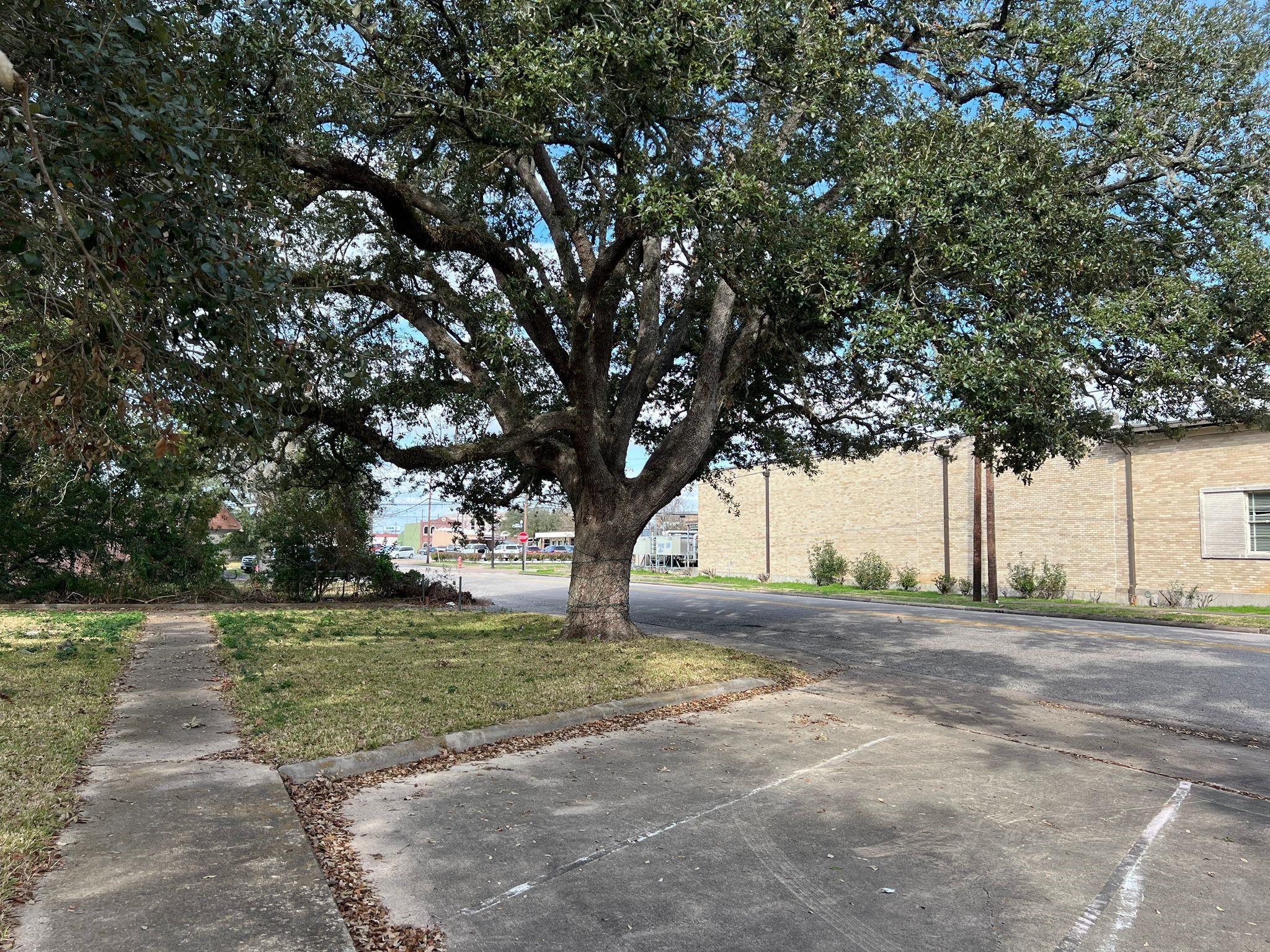 218 W Blum St