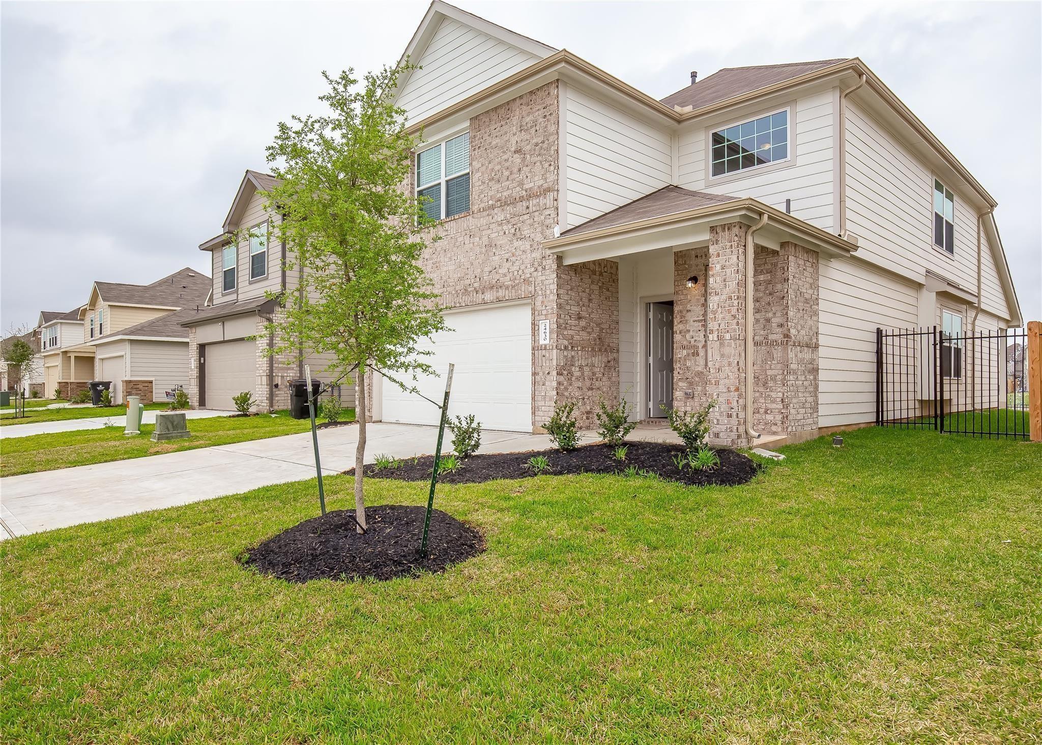24630 Bastiani Canvas Lane