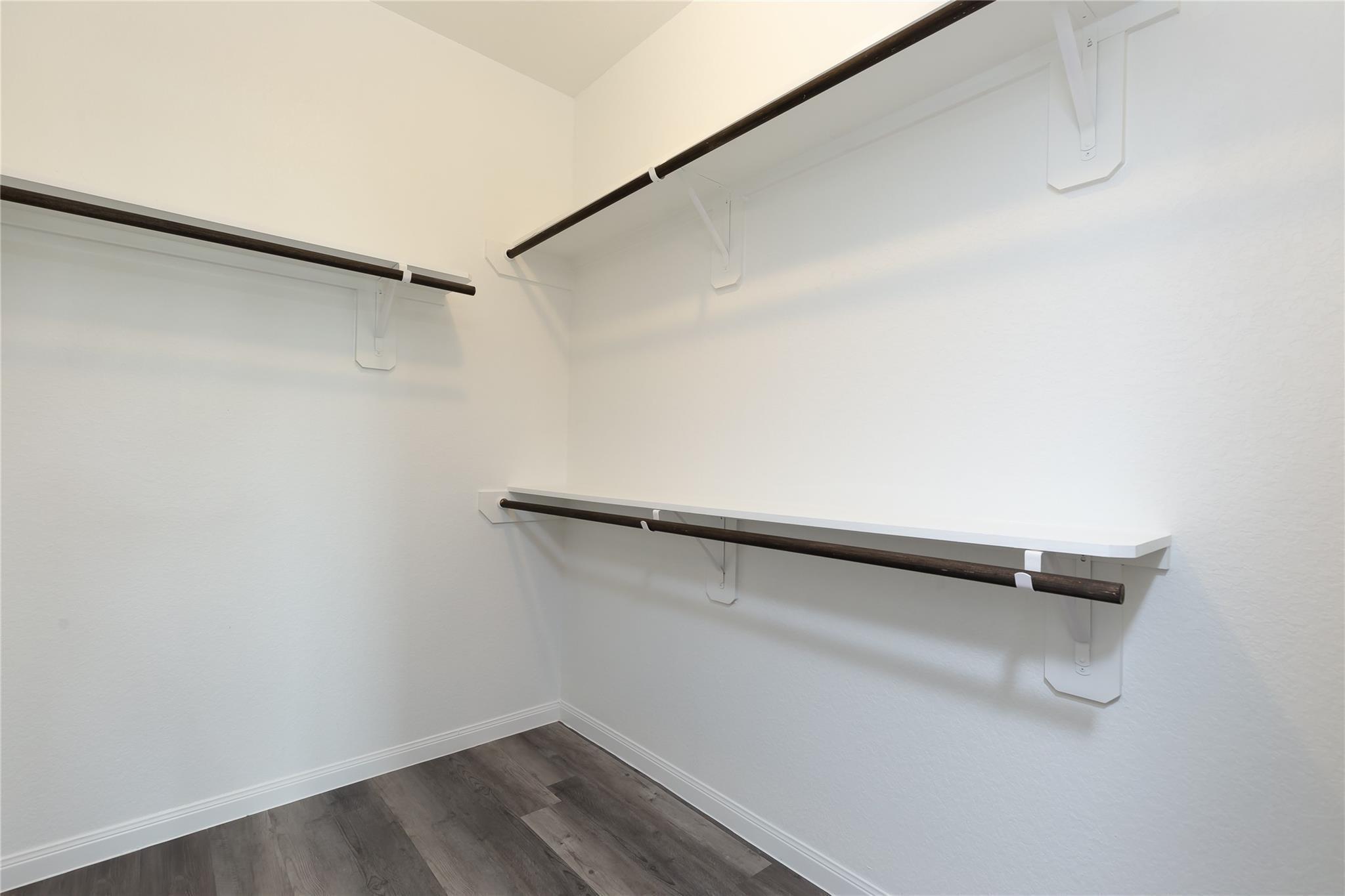 24630 Bastiani Canvas Lane