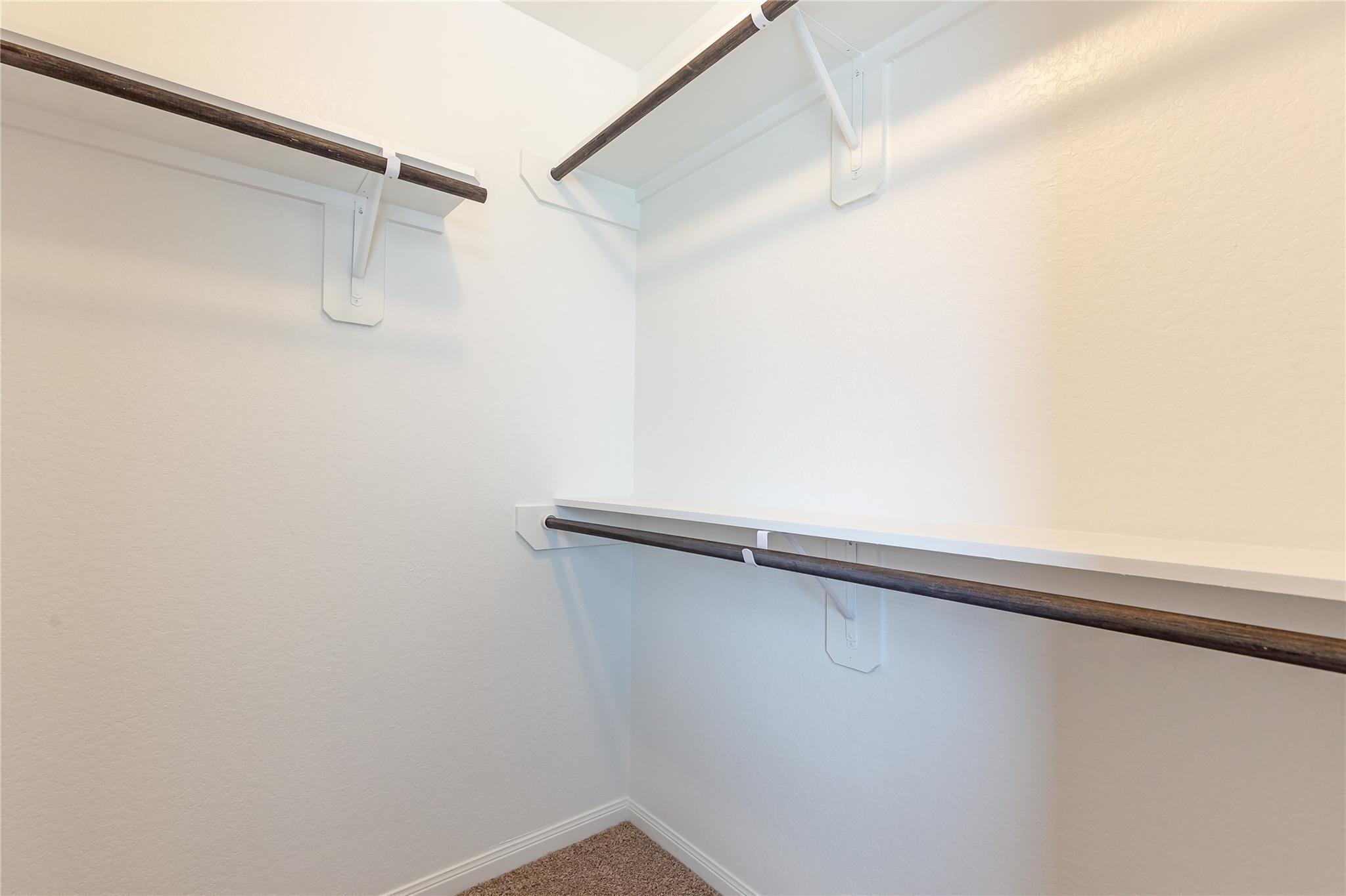 24630 Bastiani Canvas Lane