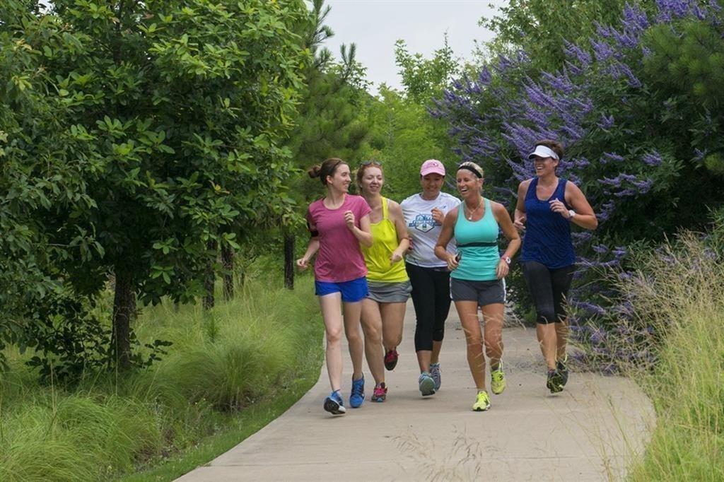 4203 Chloe Ridge Lane