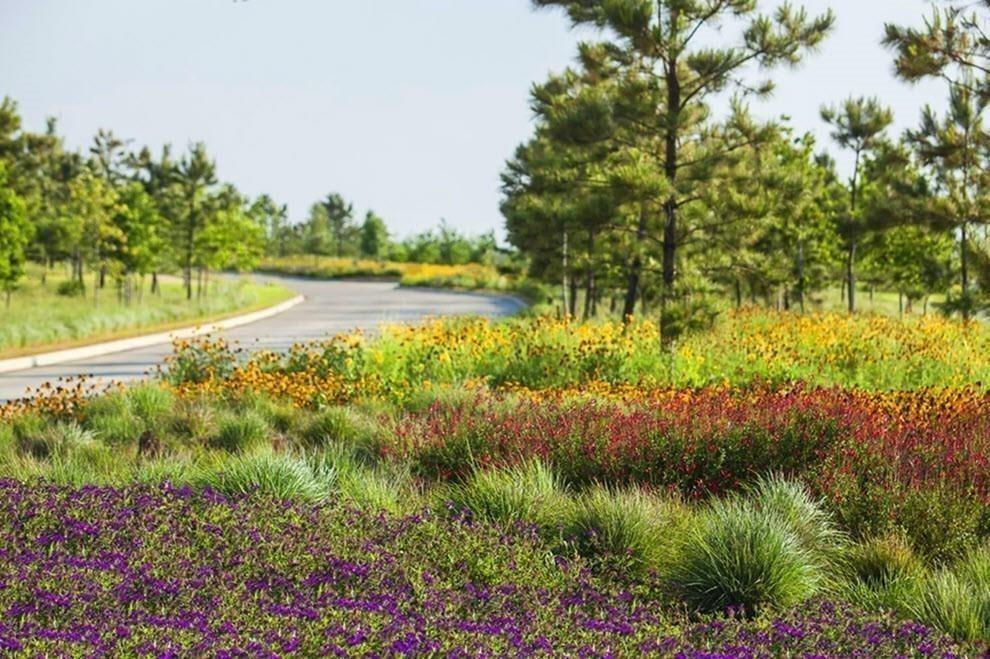 4203 Chloe Ridge Lane