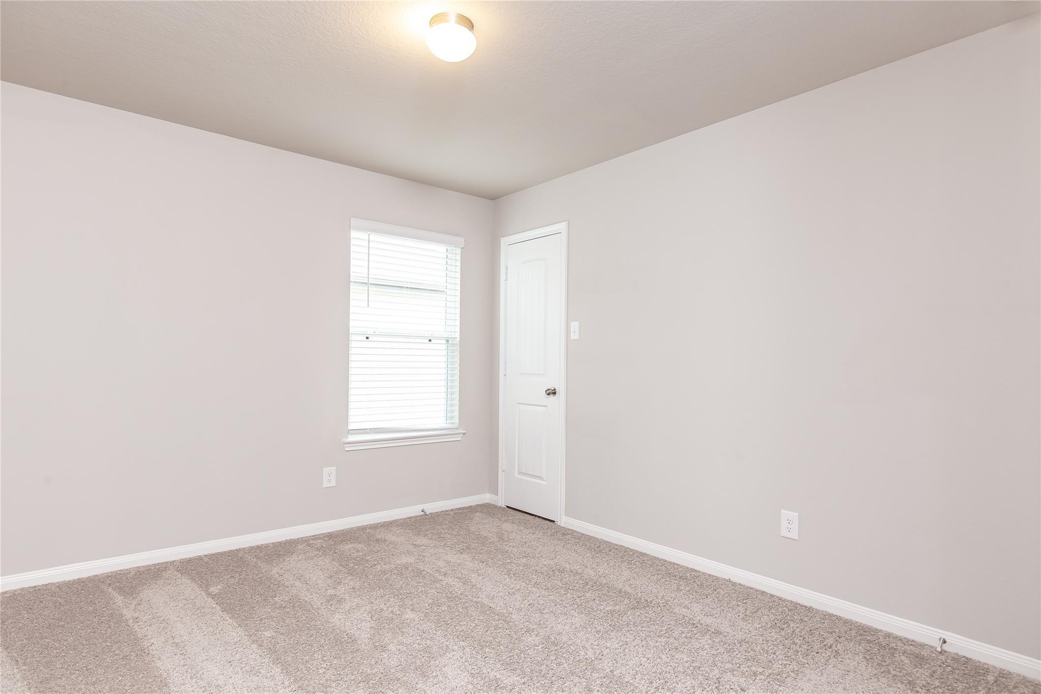 24630 Bastiani Canvas Lane