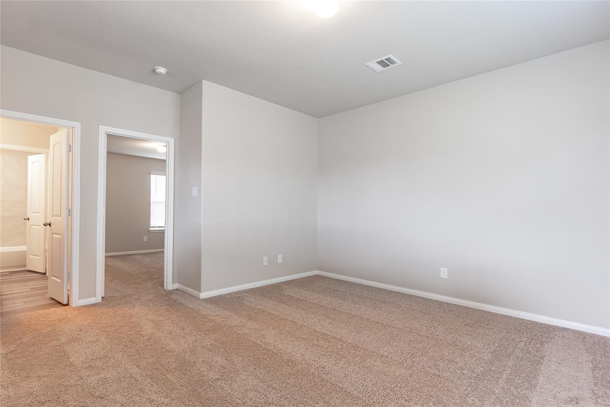 24630 Bastiani Canvas Lane