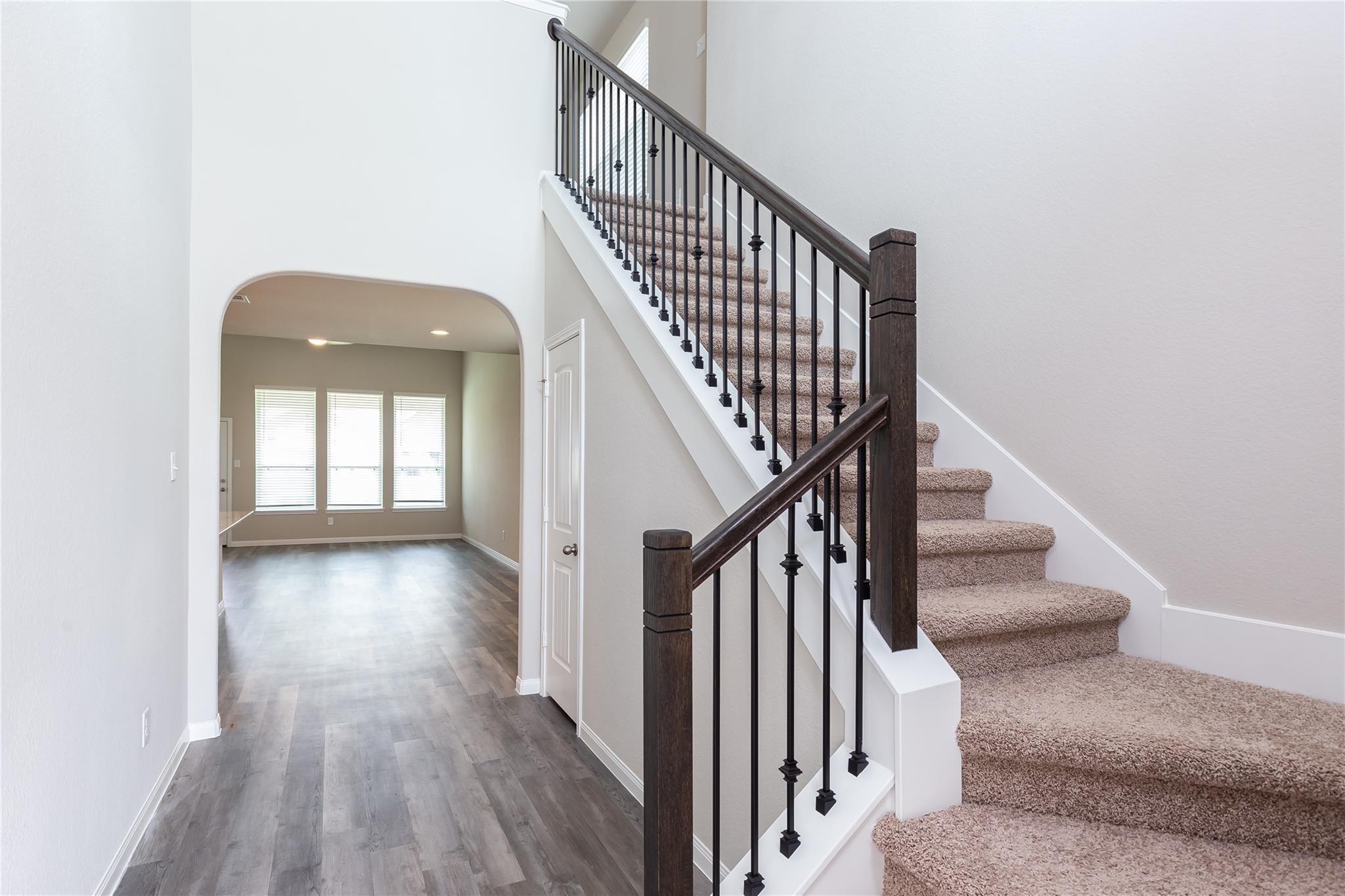 24630 Bastiani Canvas Lane