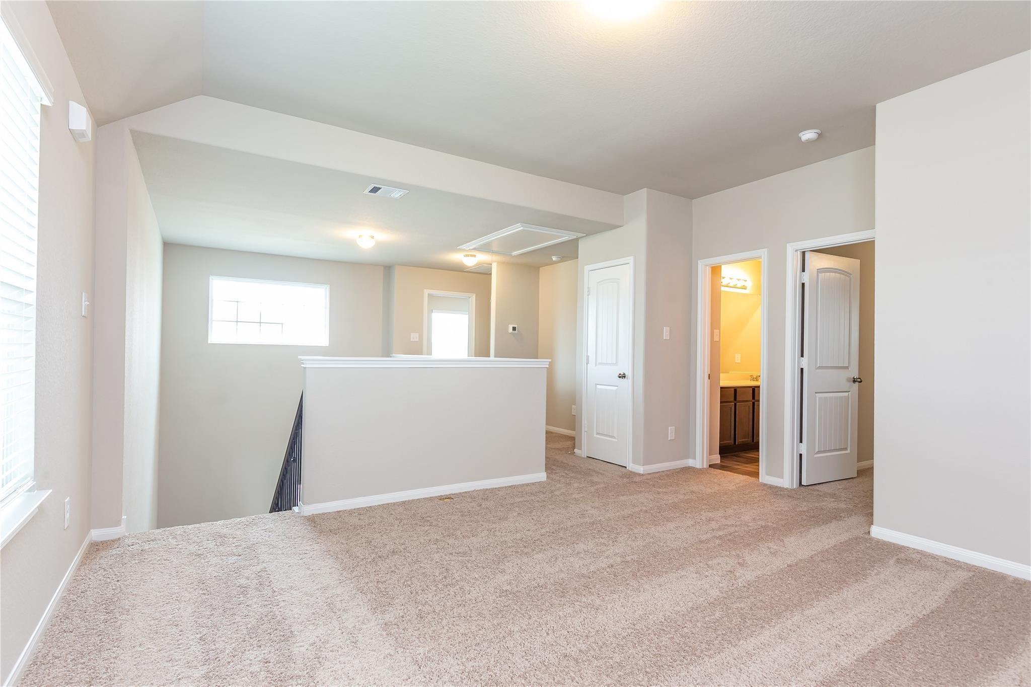 24630 Bastiani Canvas Lane