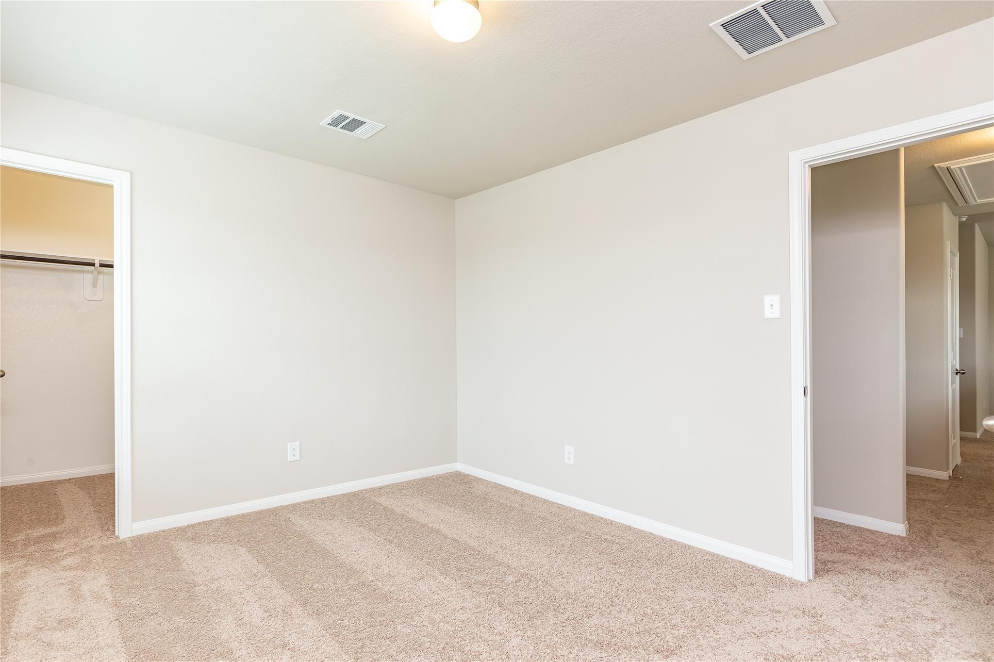 24630 Bastiani Canvas Lane