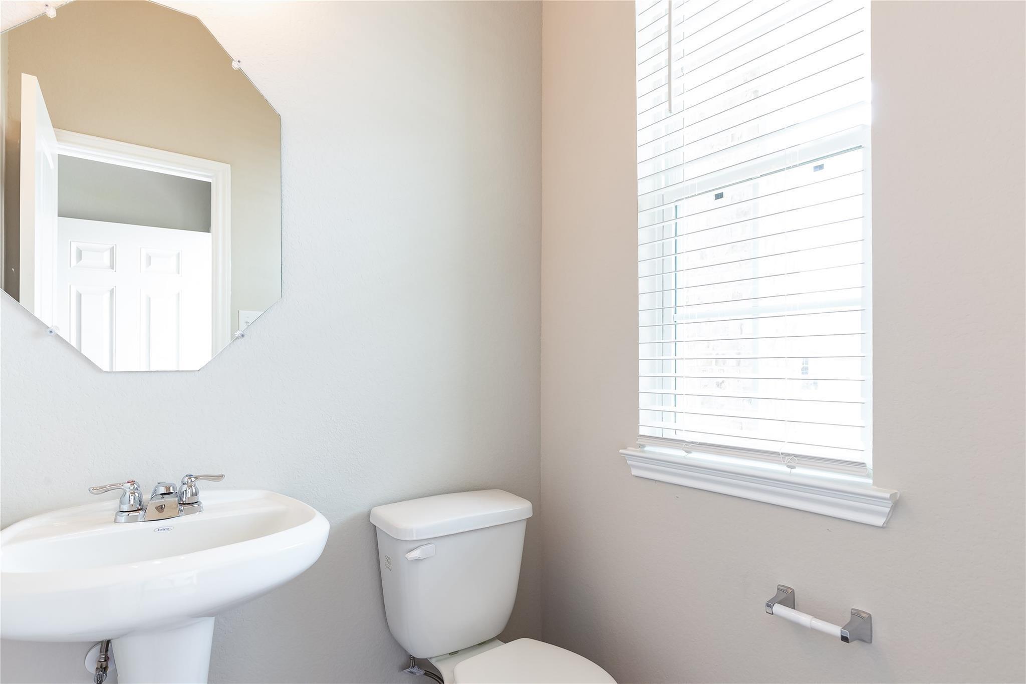 24630 Bastiani Canvas Lane