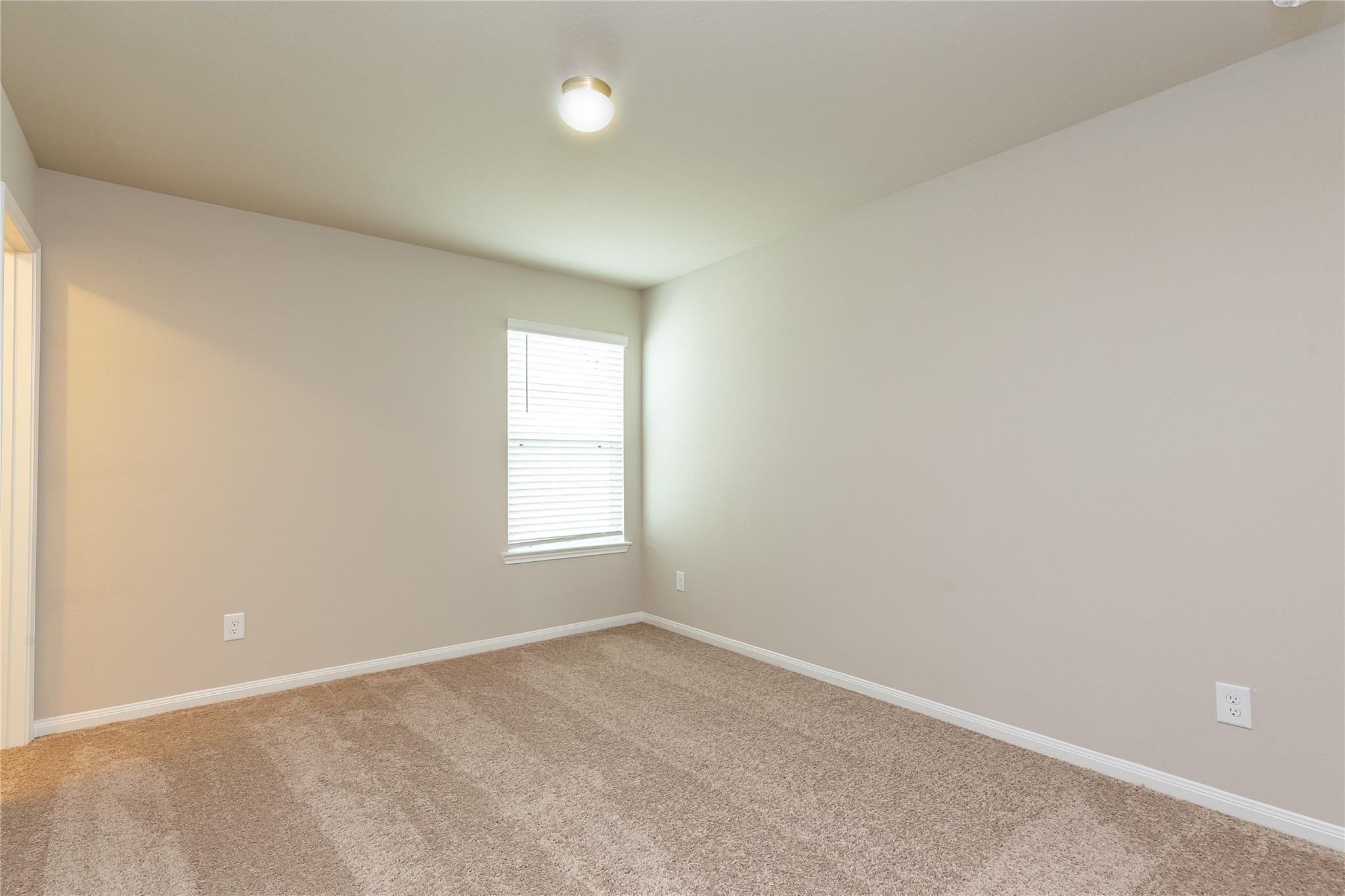 24630 Bastiani Canvas Lane