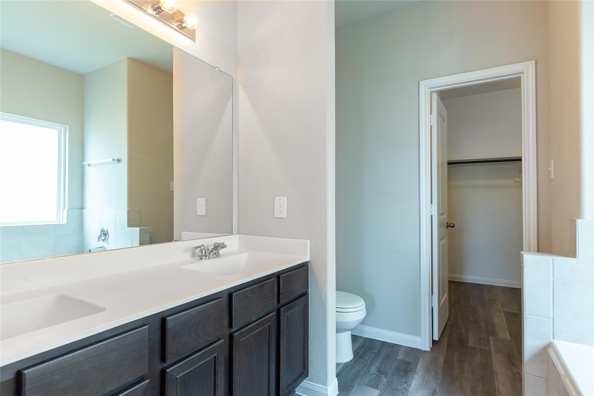 24630 Bastiani Canvas Lane