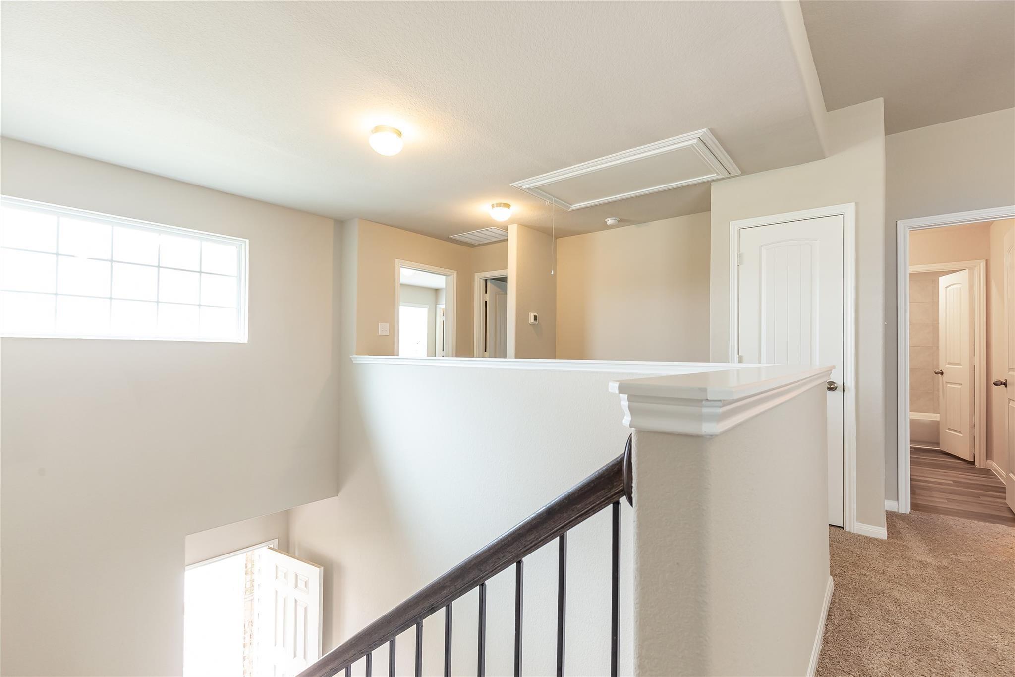 24630 Bastiani Canvas Lane