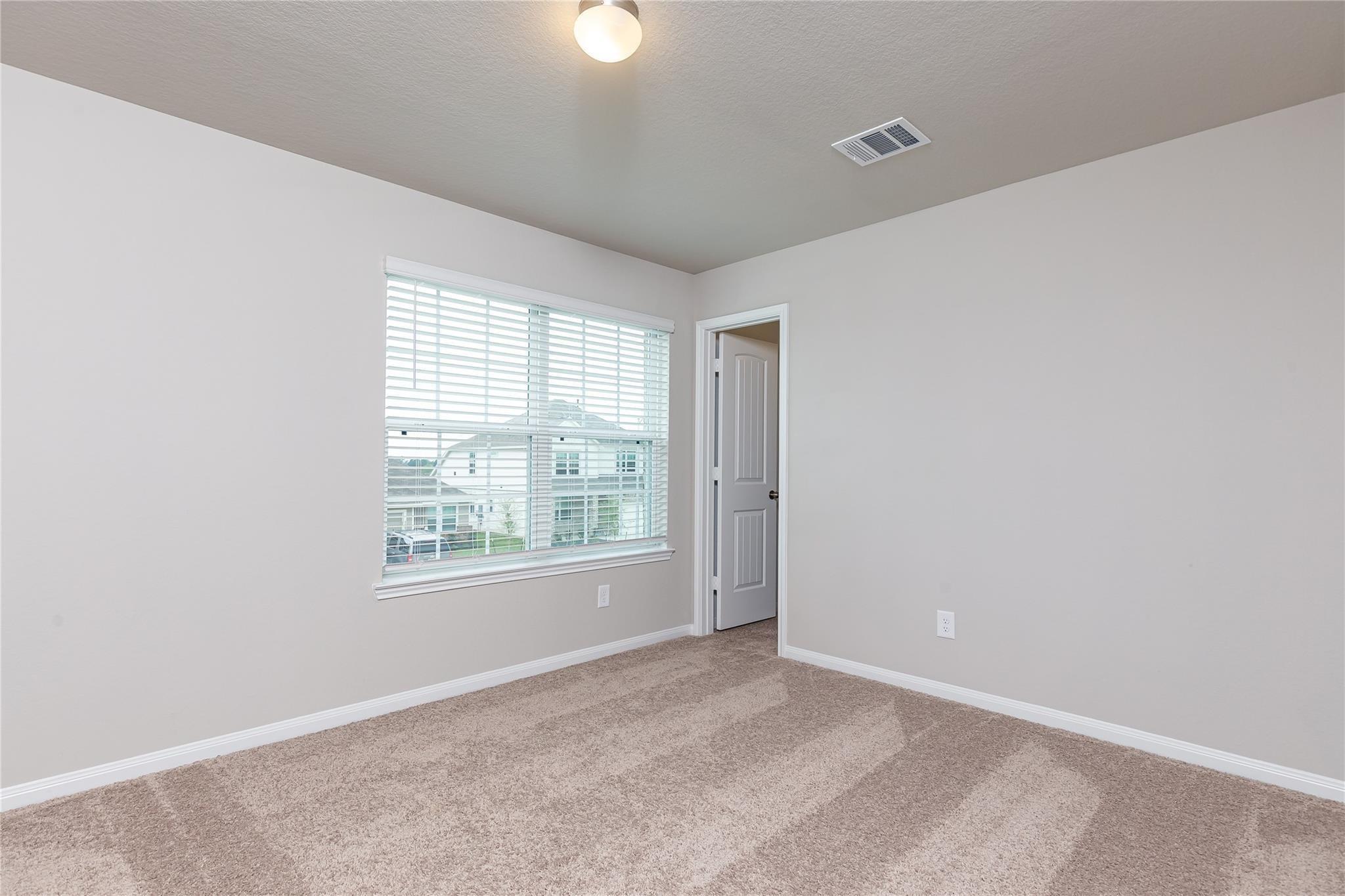 24630 Bastiani Canvas Lane