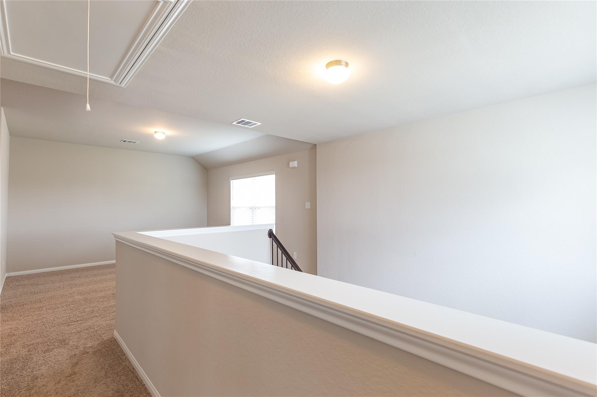 24630 Bastiani Canvas Lane