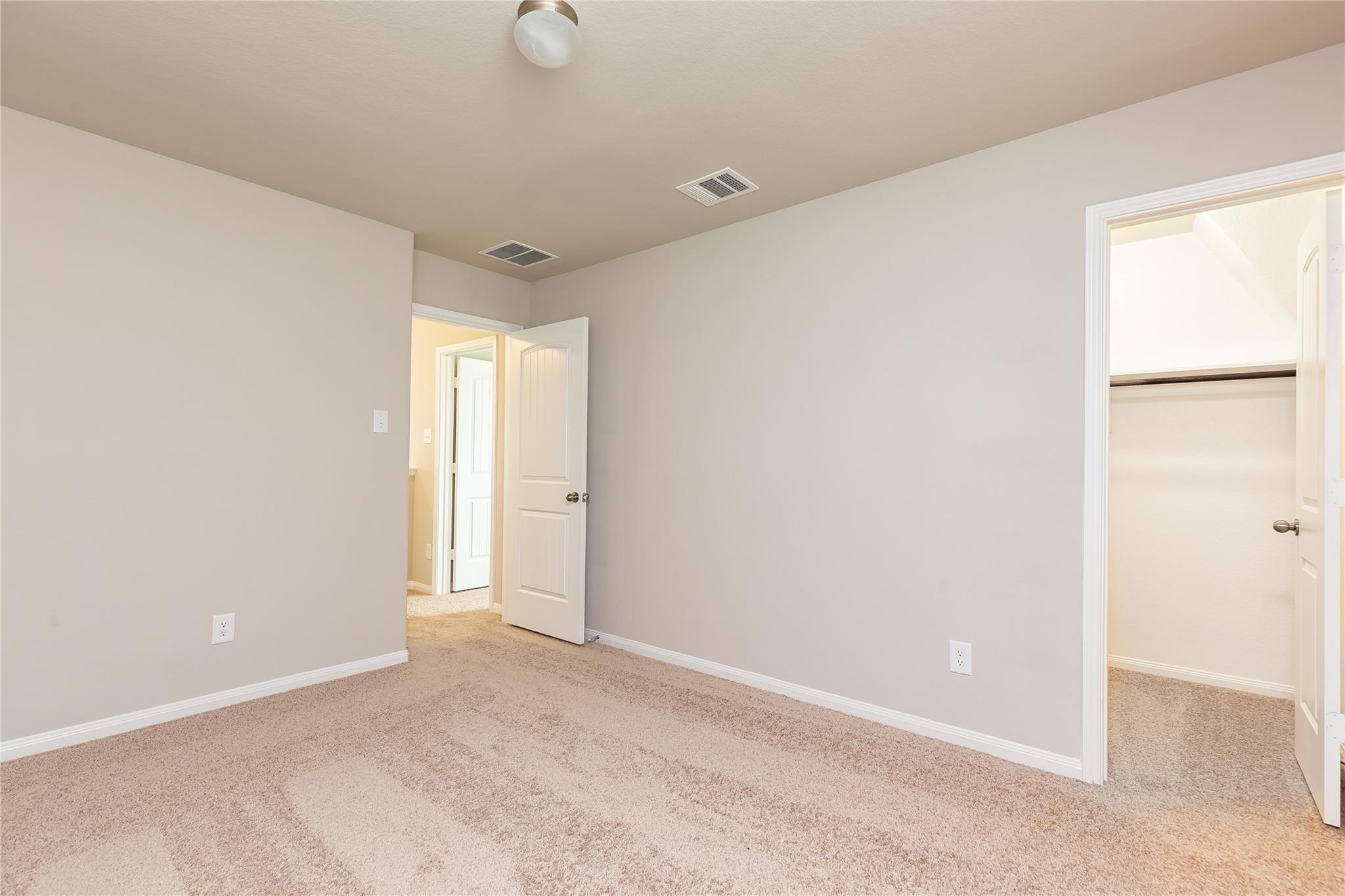 24630 Bastiani Canvas Lane